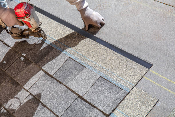 Best Storm Damage Roof Repair  in Coal Valley, IL